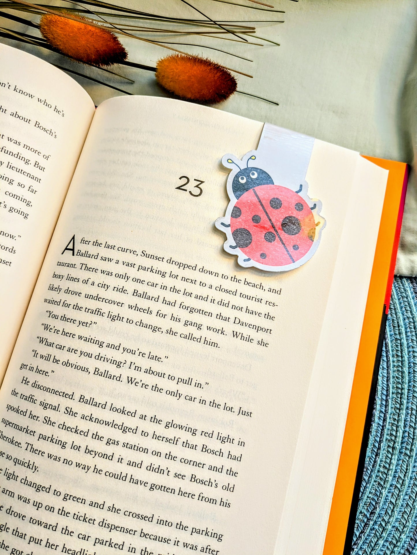 "Slow Reader, Strong Plot"