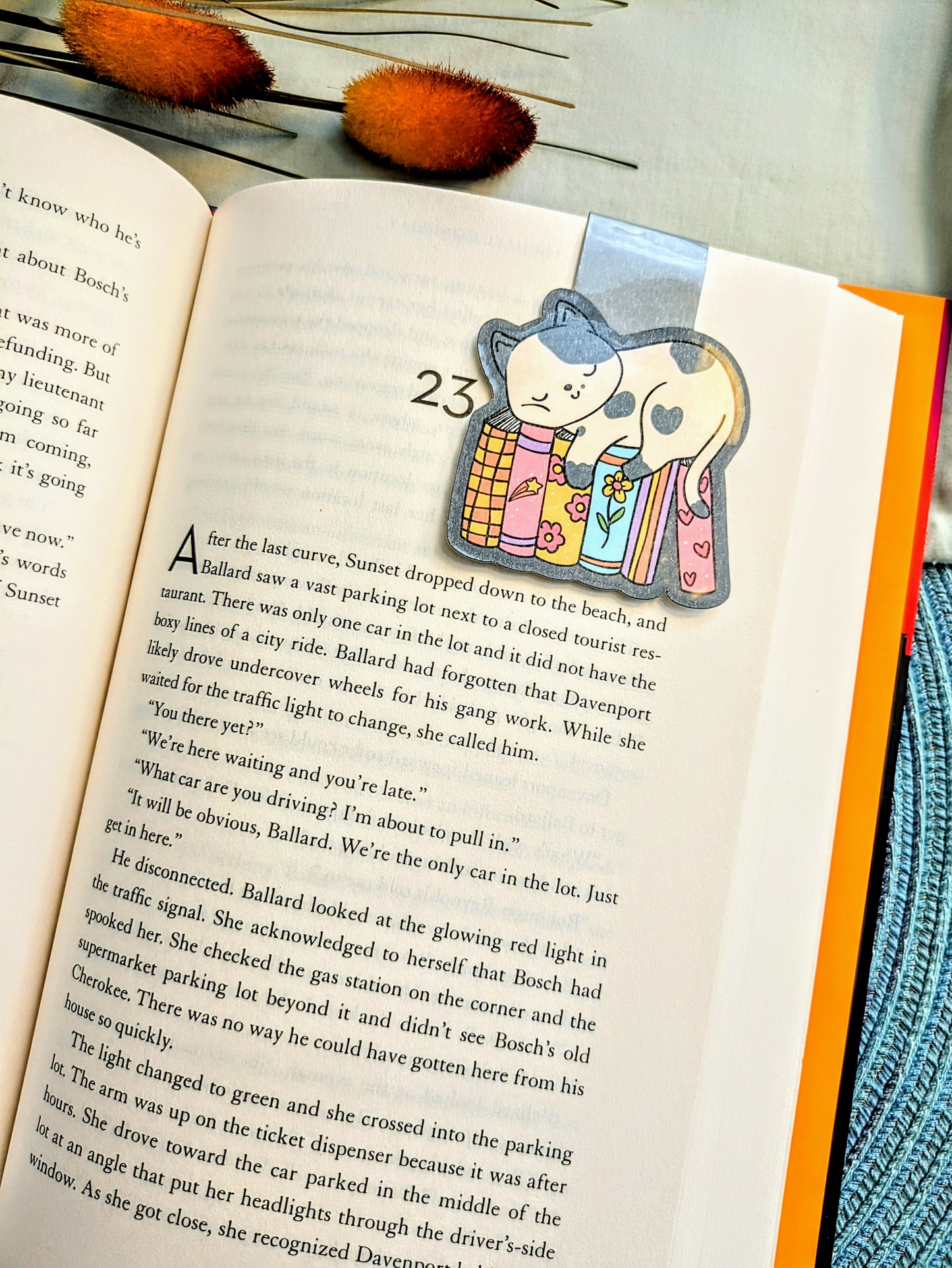 "Books, Cats, and Cozy Vibes"