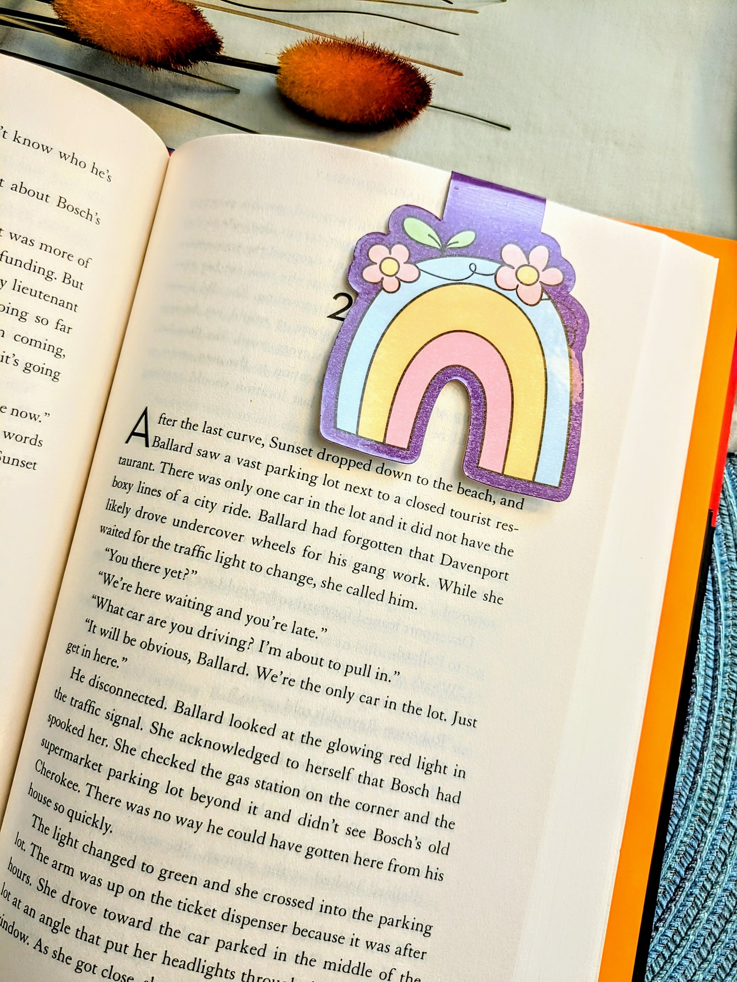 "Chasing Rainbows and Chapters"