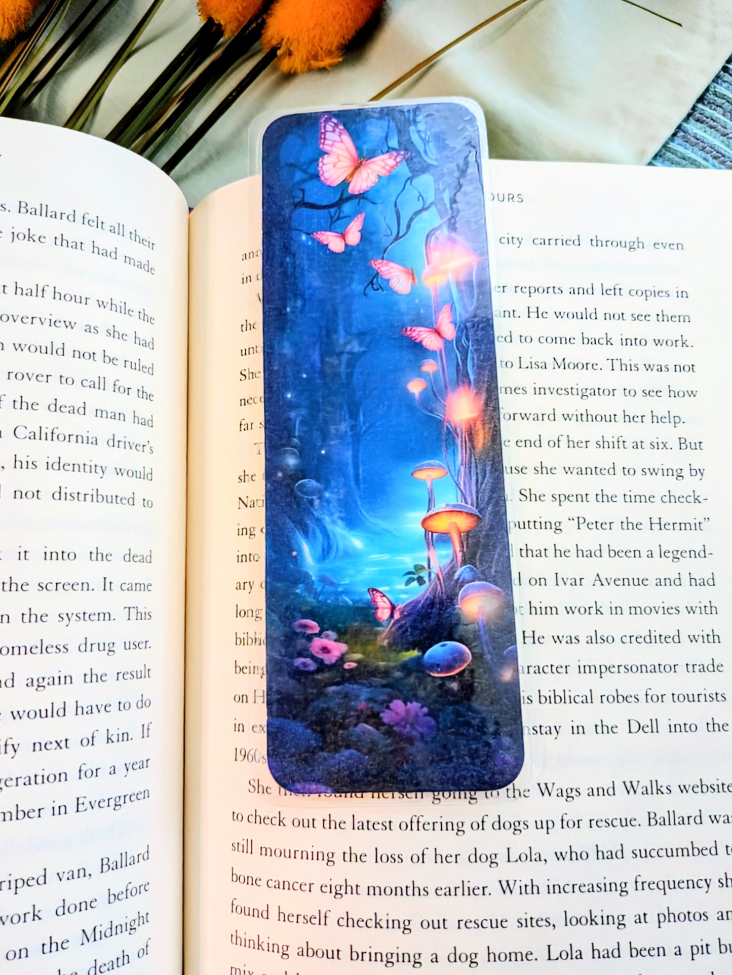 "Mystic Woods & Story Magic"