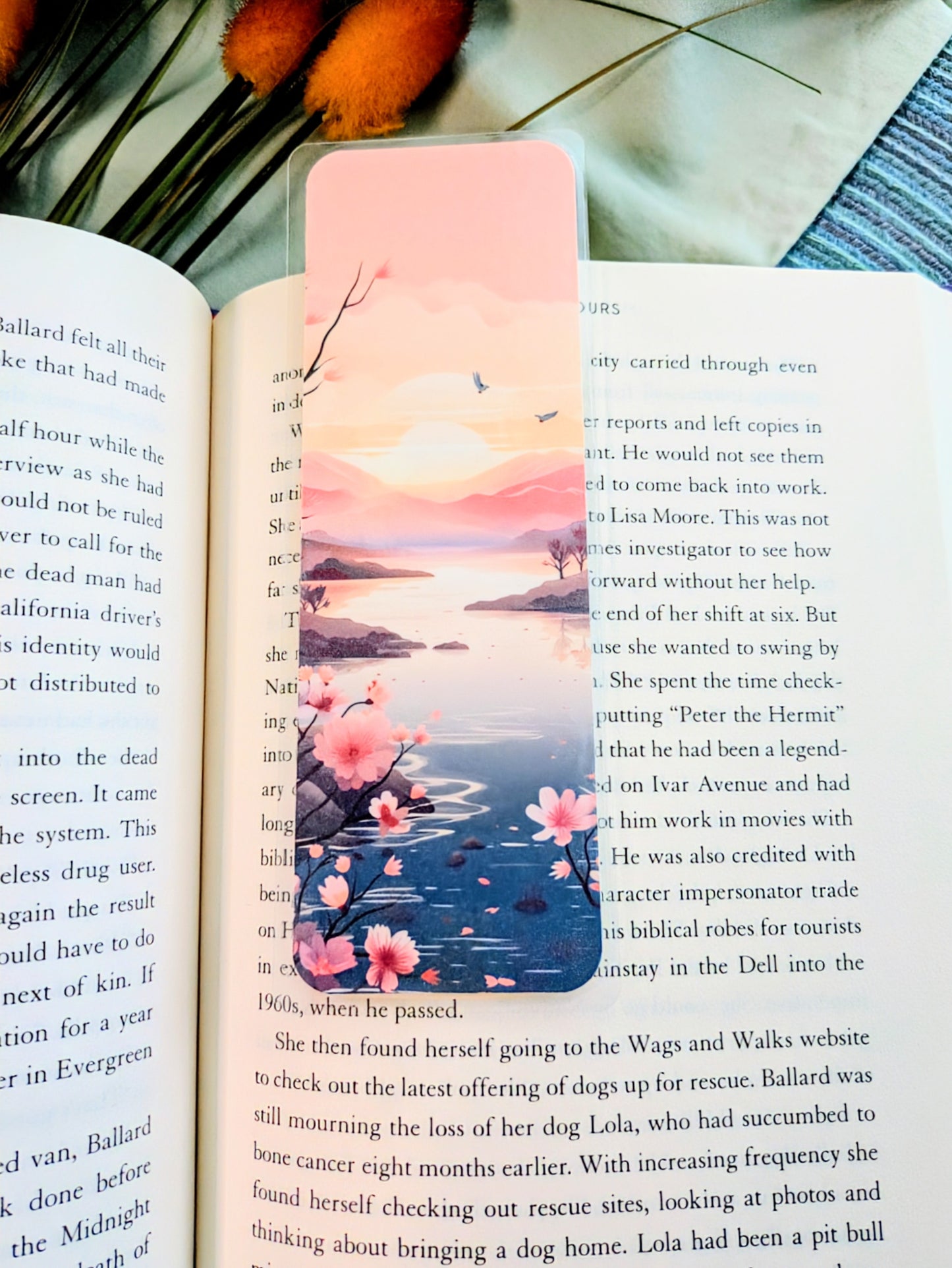 "Petals Falling, Stories Calling"