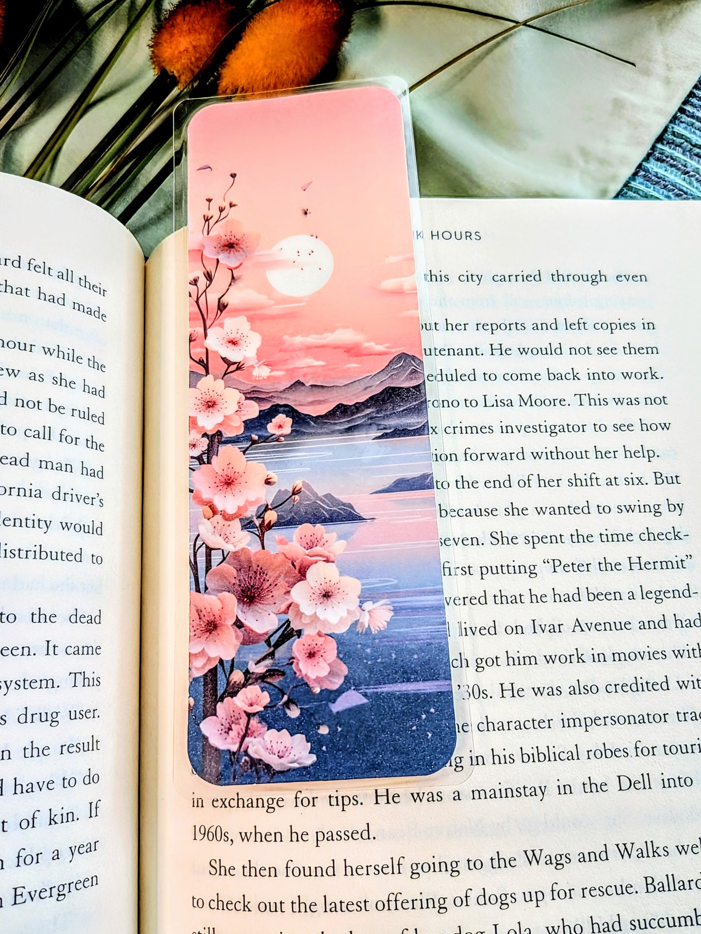 "Stories as Soft as Cherry Petals"