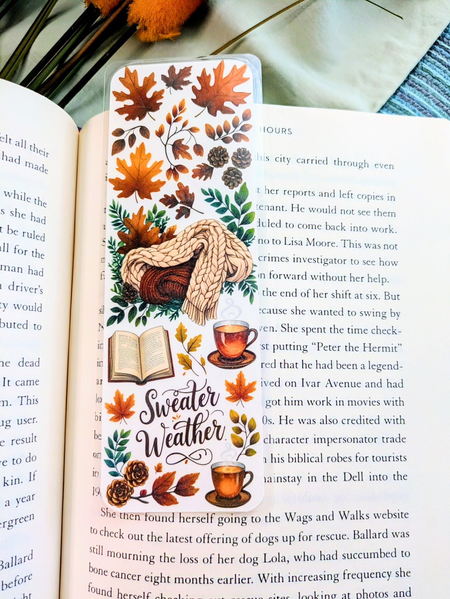 "Cozy Reads & Knit Sleeves"