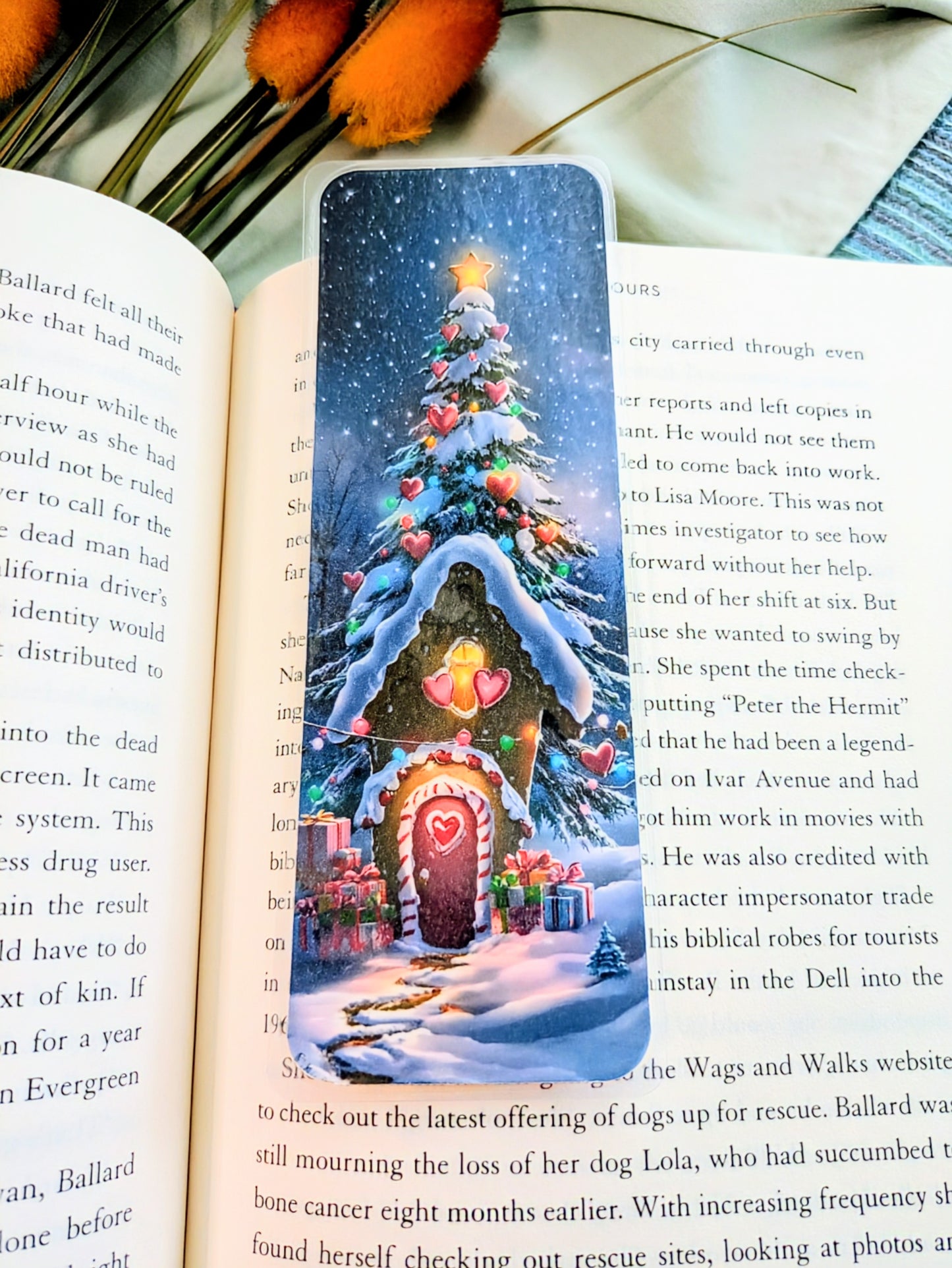 "Christmas Eve Magic"