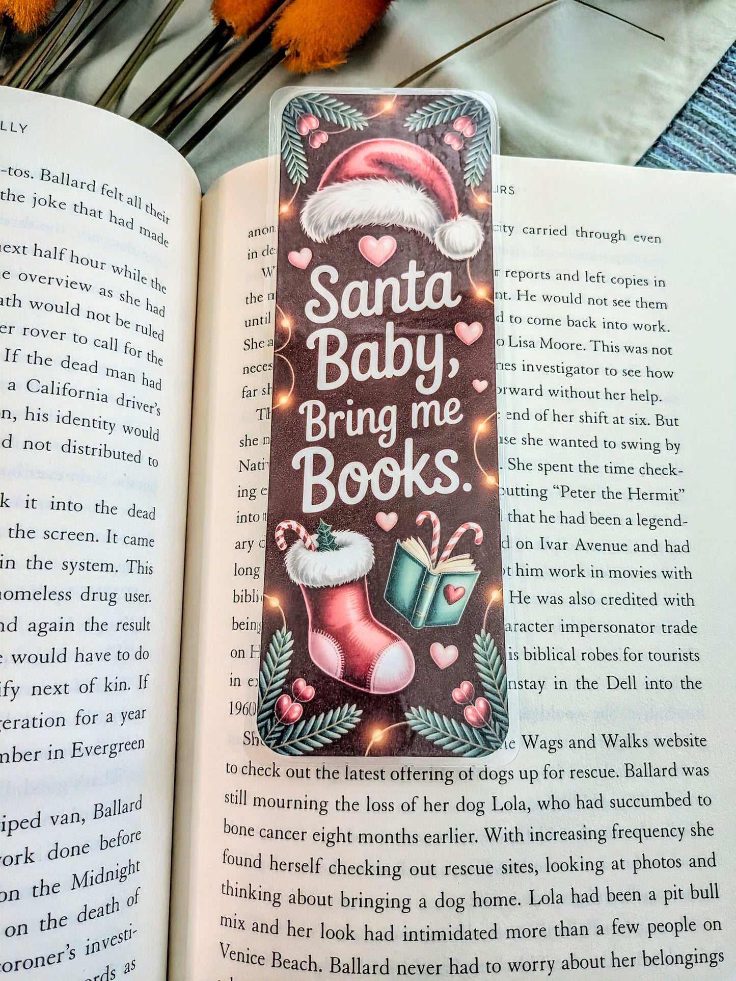 "Santa Baby Bring Me Books"