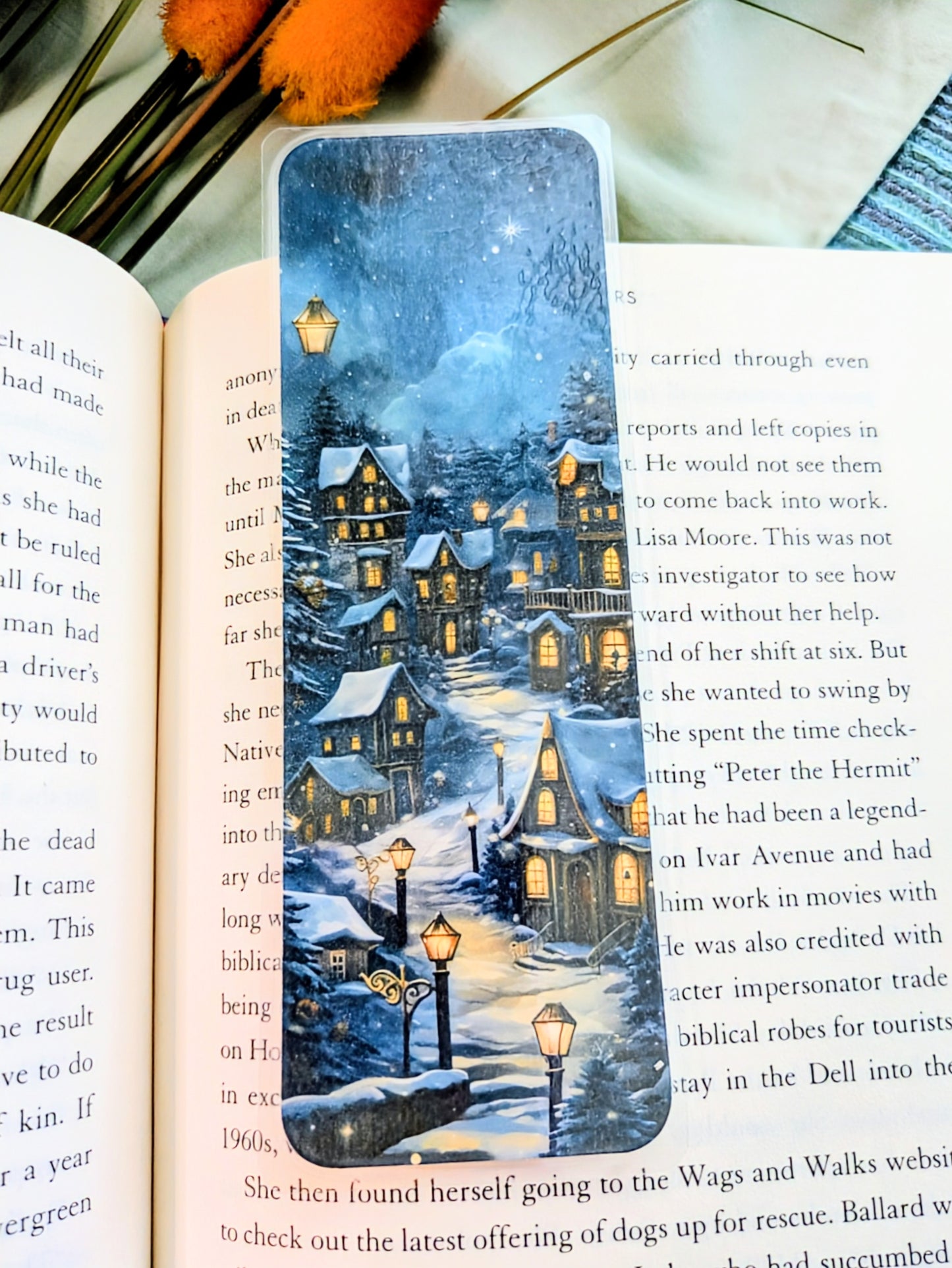"Once Upon A Snowy Town"