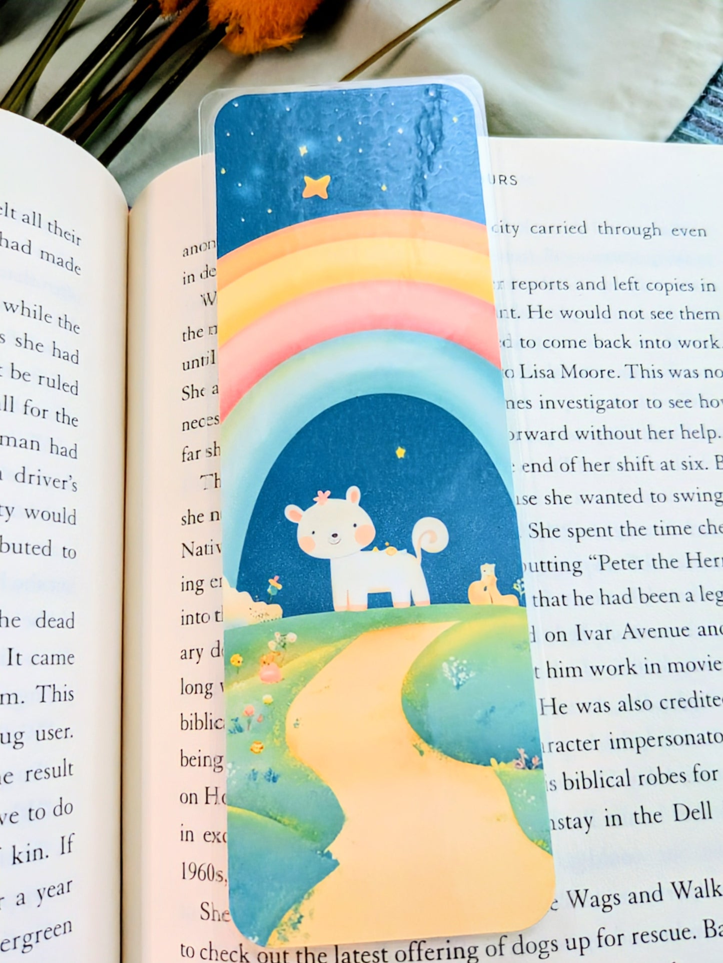 "Chasing Rainbows, Turning Pages"