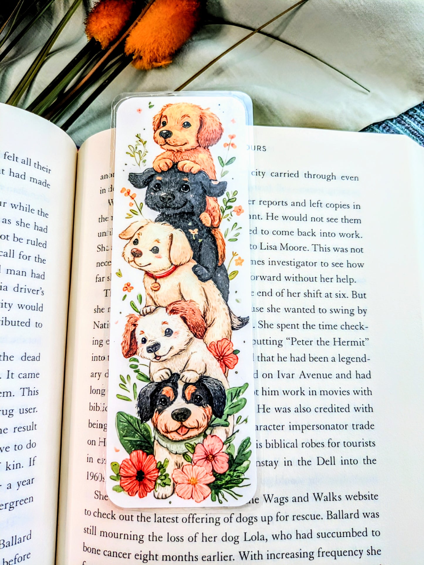 "Tails, Paws, & Towering Fun"