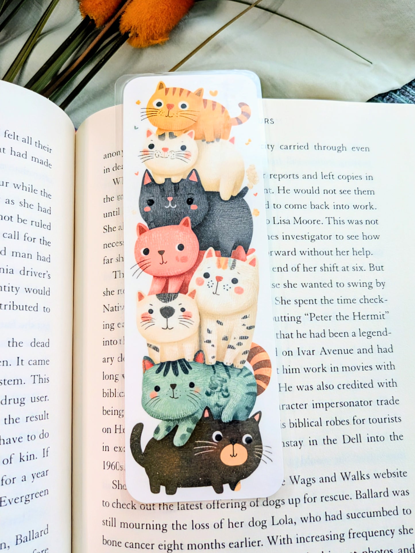 "Climb Into a Good Story"