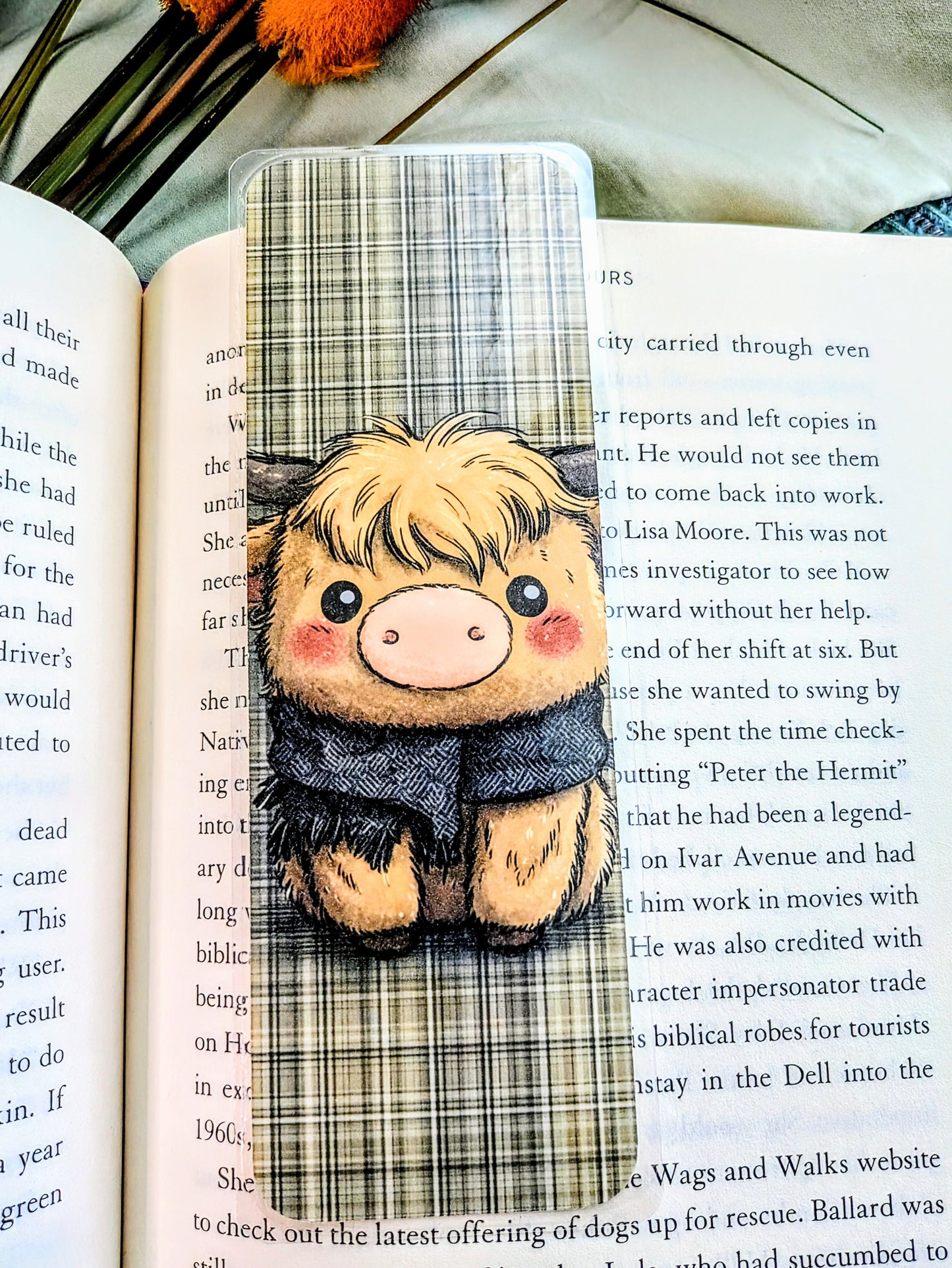 "Furry Friends, Heartfelt Reads"