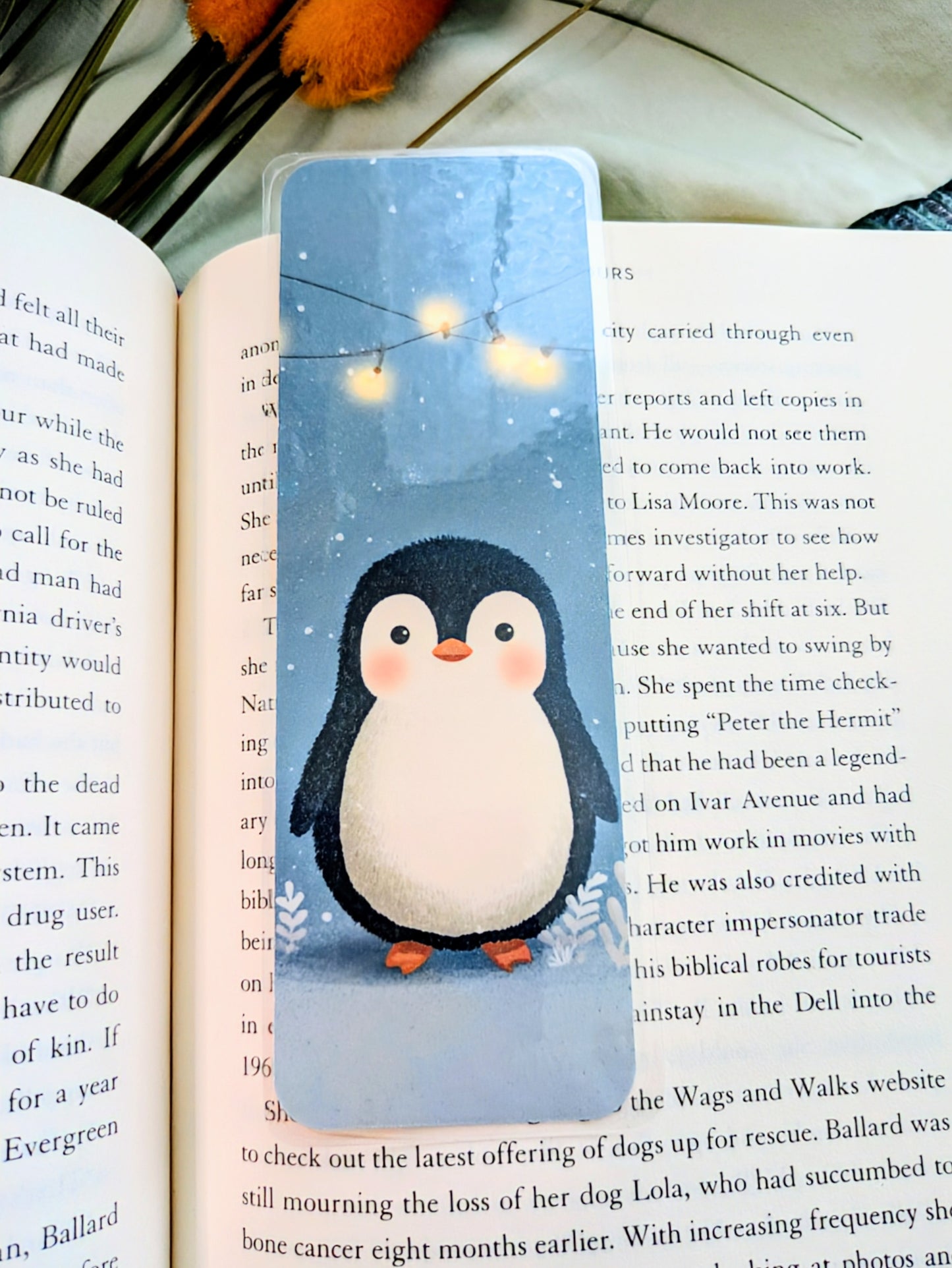 "Slide Into Storytime"