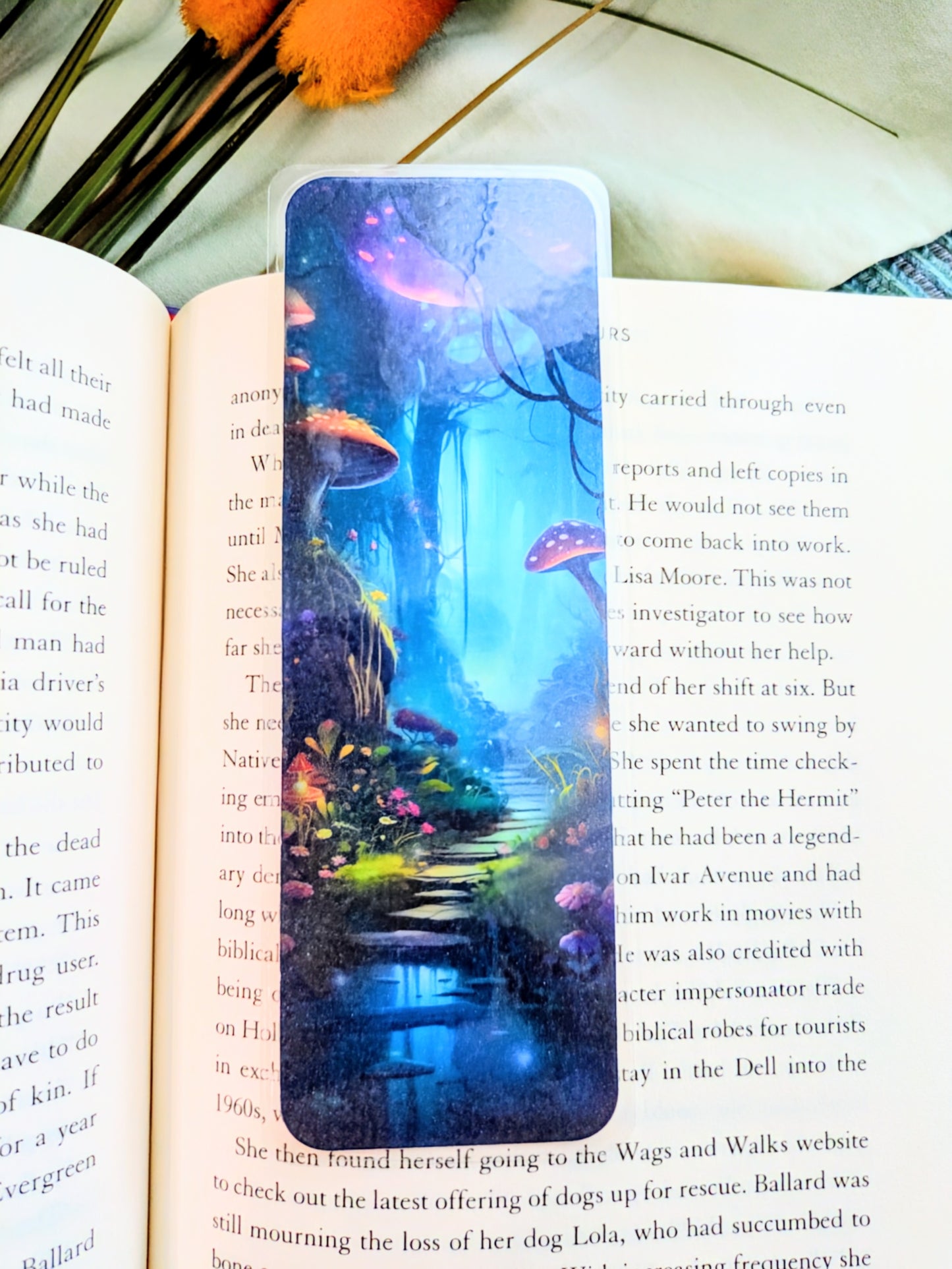 "The Forest of Forgotten Tales"