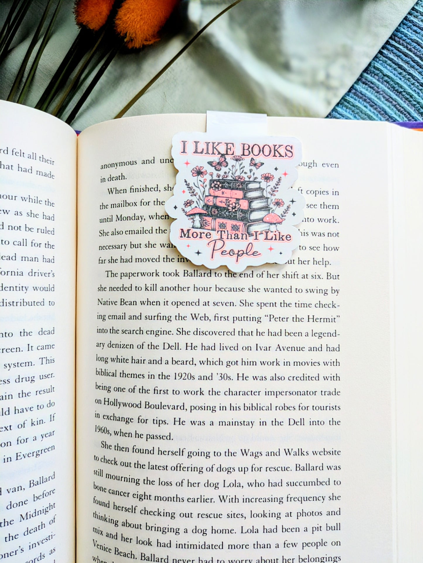 "I Like Books More than I Like People"