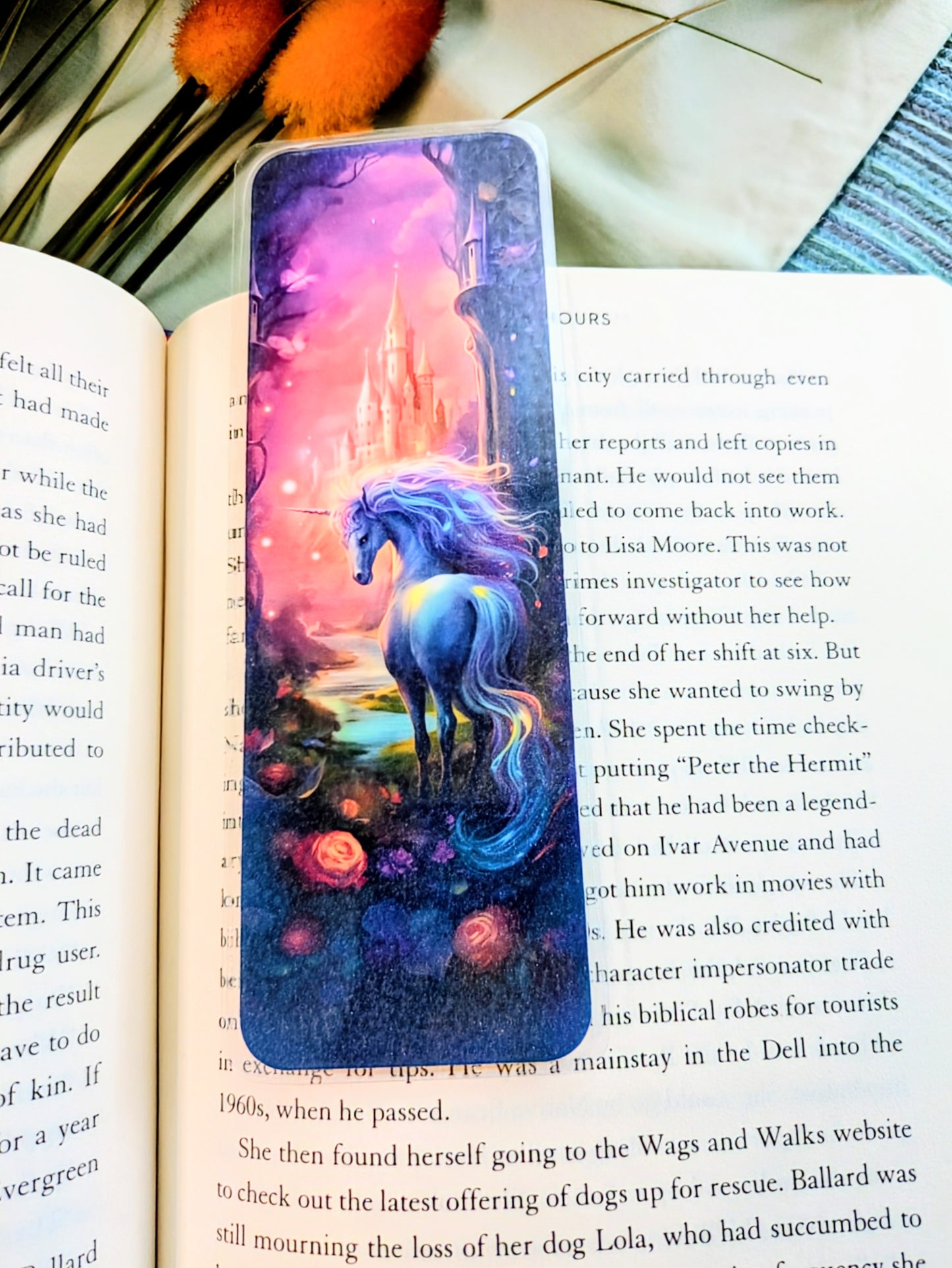 "Where Unicorns Roam & Stories Glow"