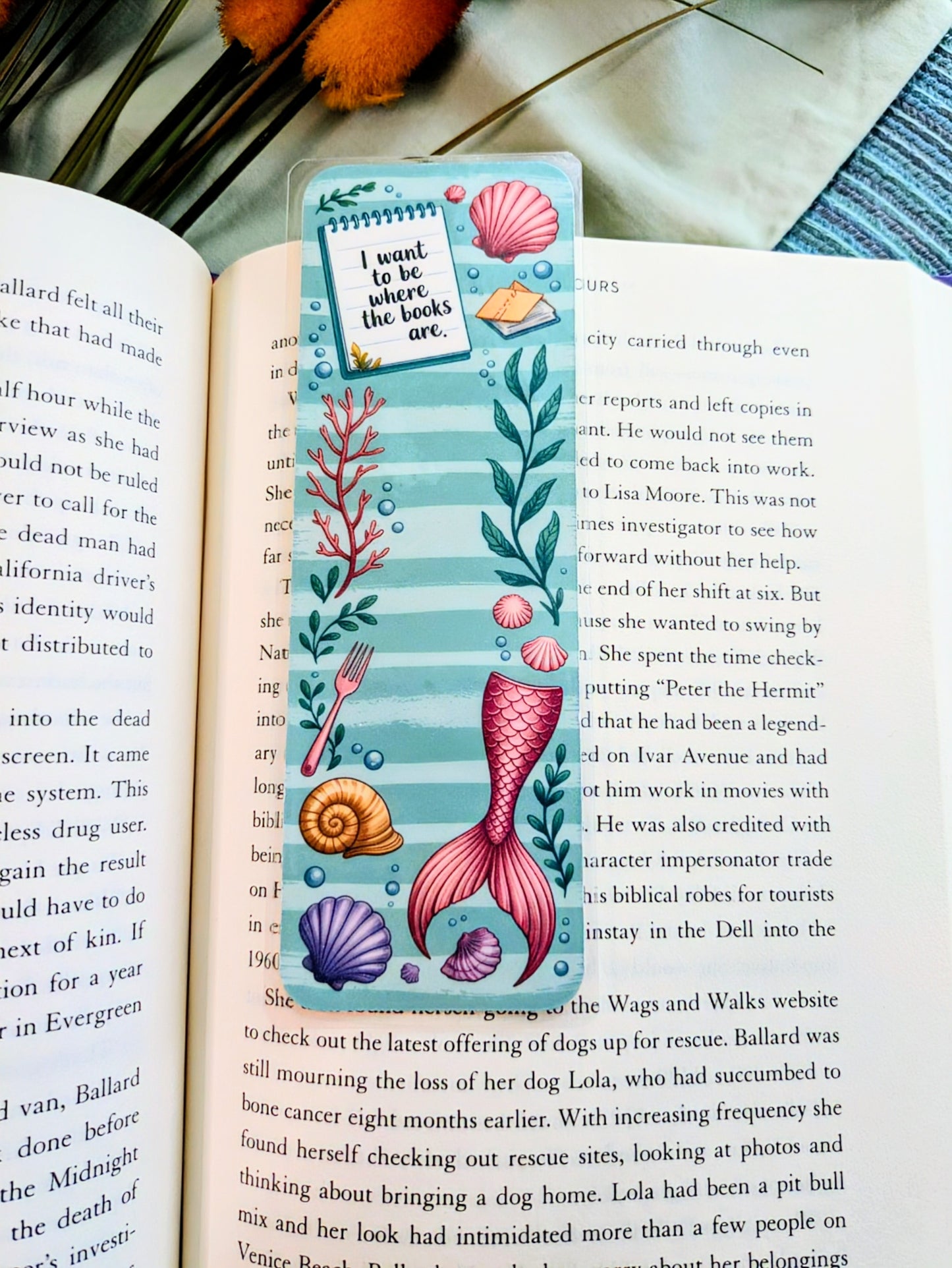 "I Want To Be Where the Books Are"