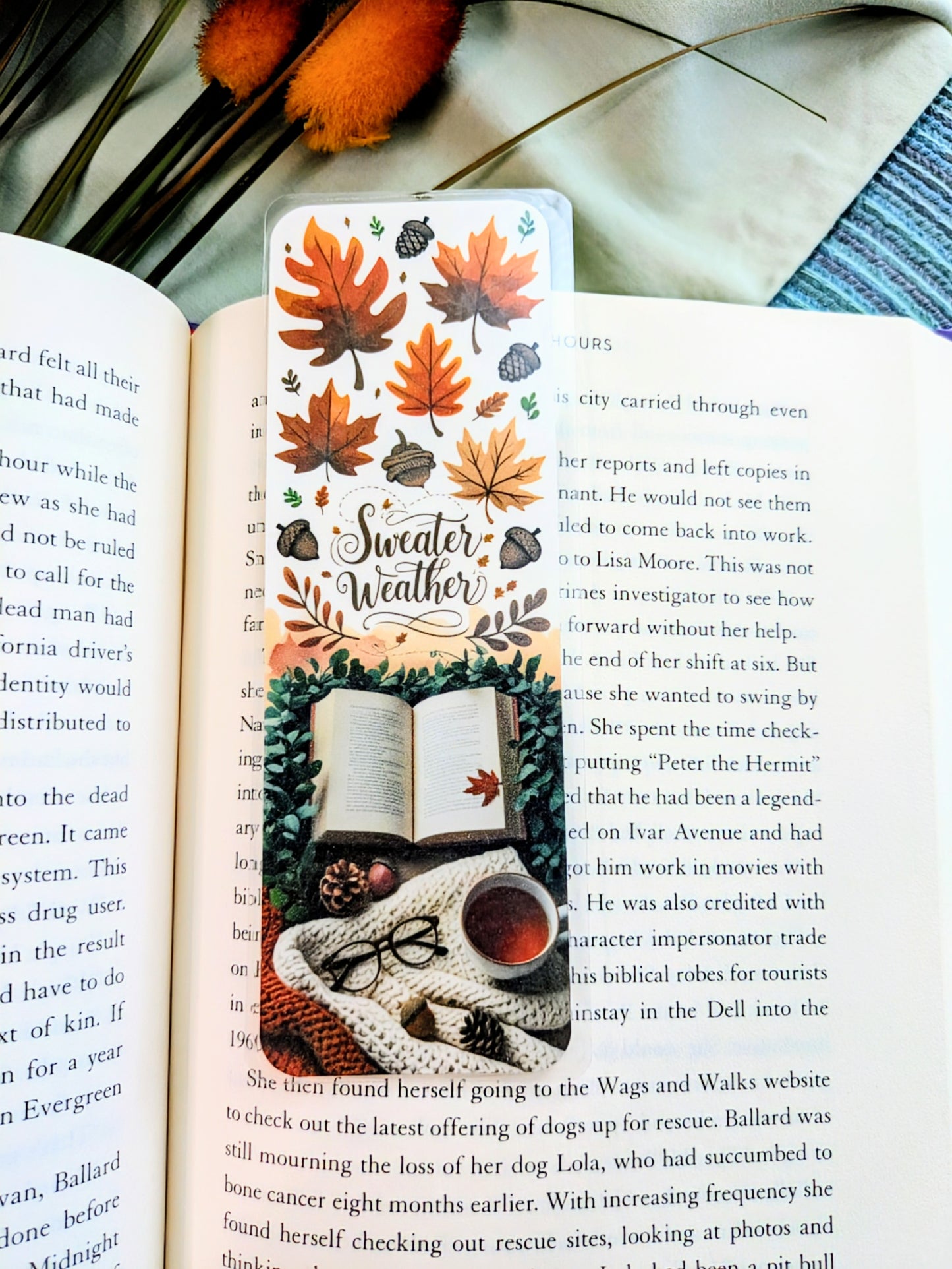 "Sweater Weather & Storytime"