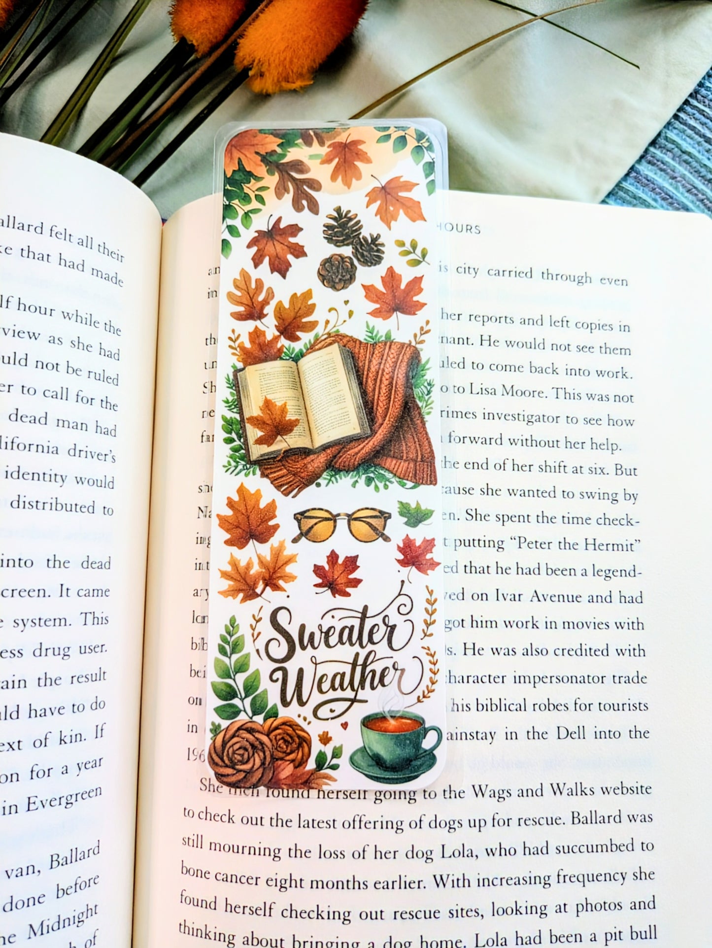 "Sweaters, Cider, & Chapters"