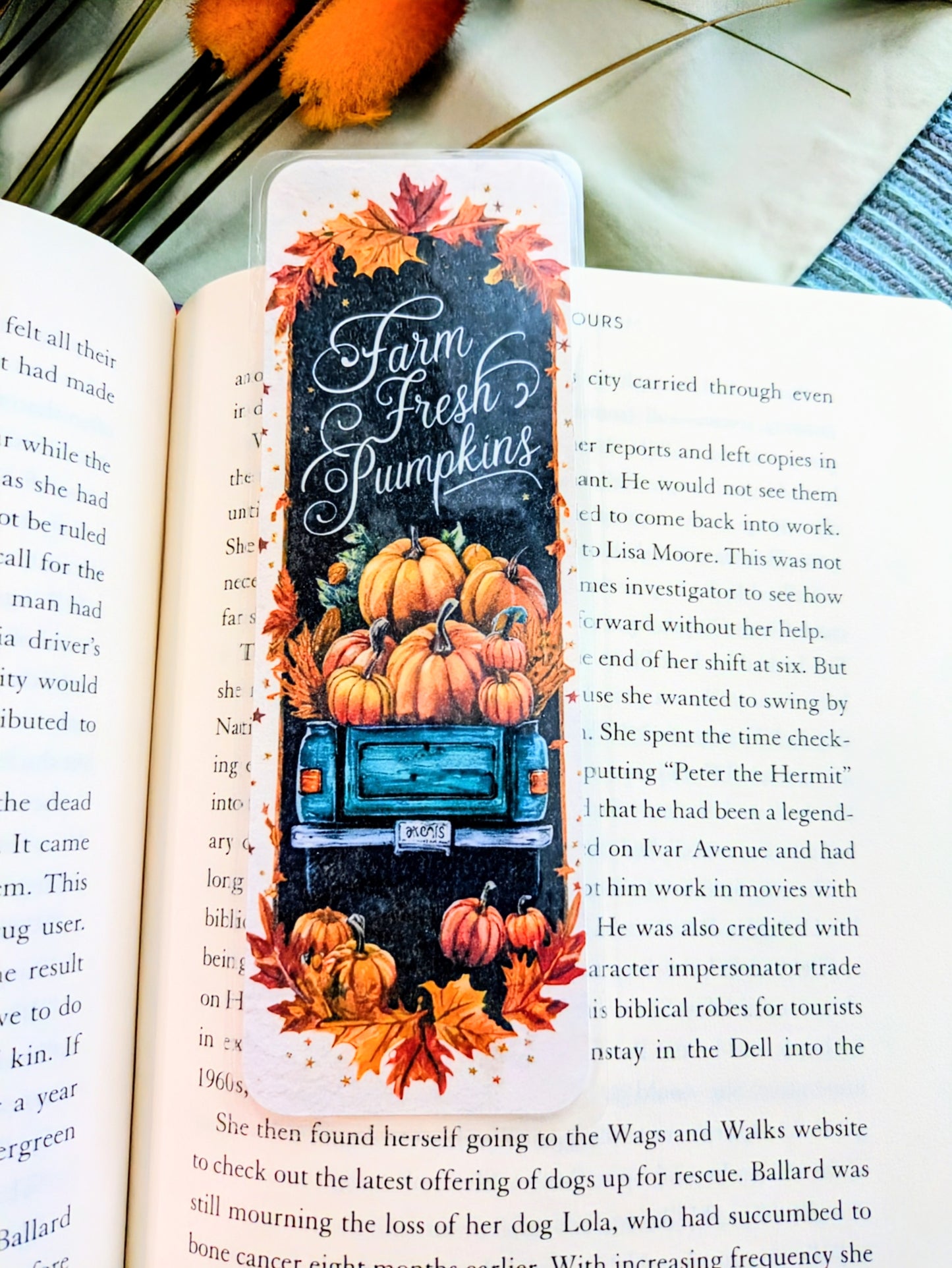 "Pumpkin Patch Pages"