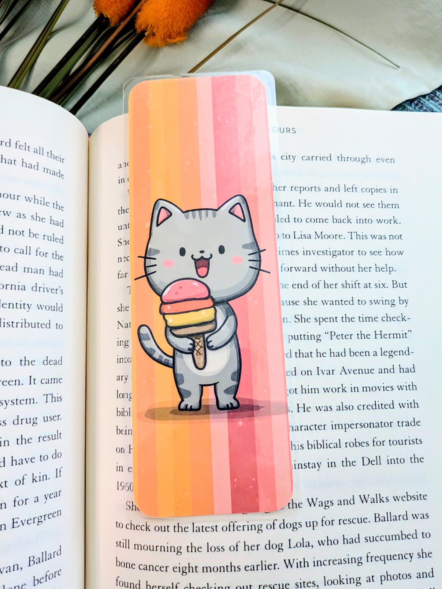 "Kitty Cones & Cozy Stories"