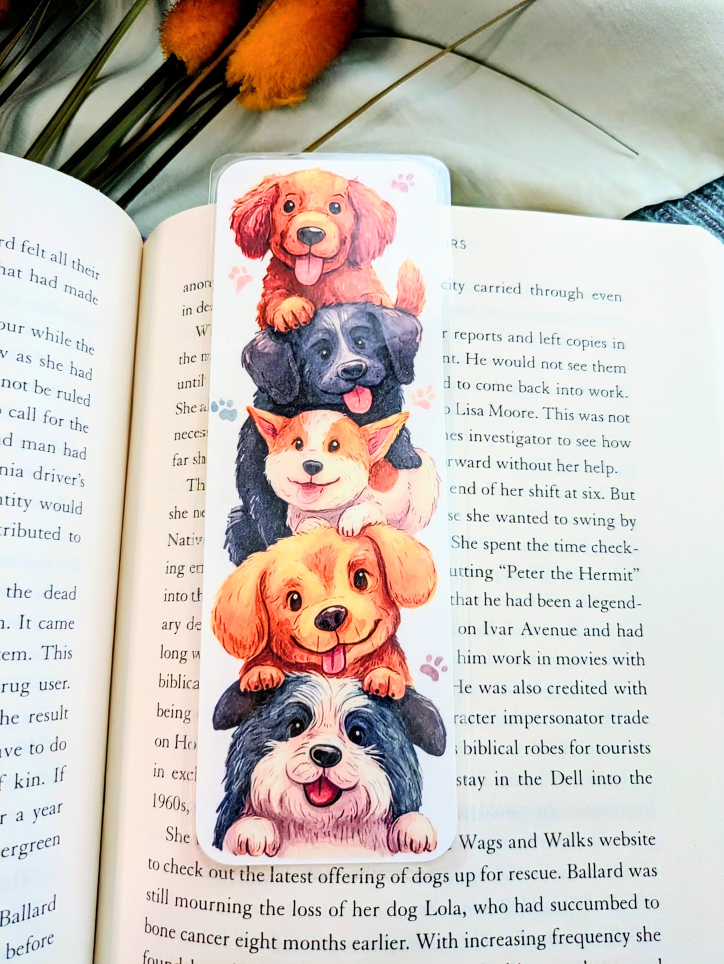 "Wobbly Paws, Steady Heart"