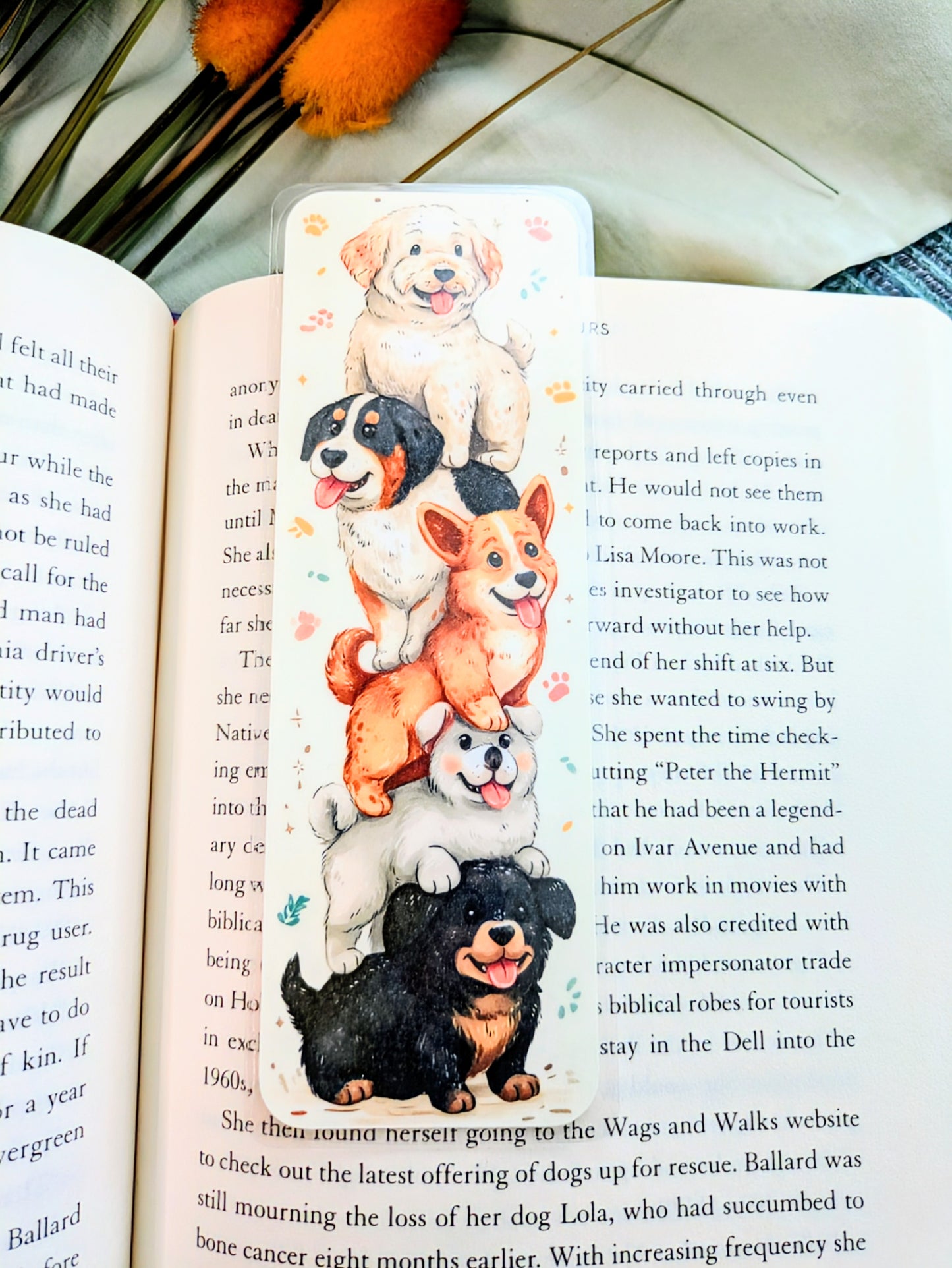 "Reading with a Stack of Paws"