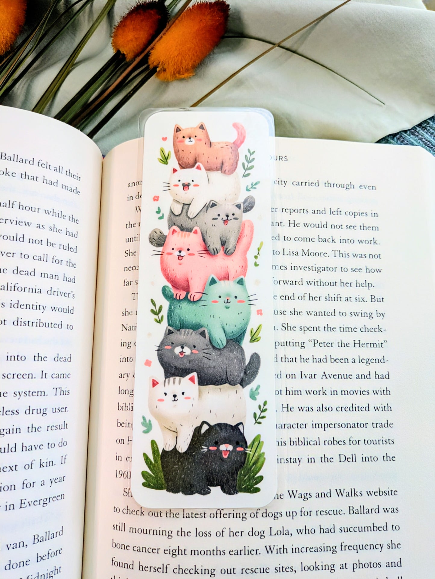 "Furry Balancing Act"