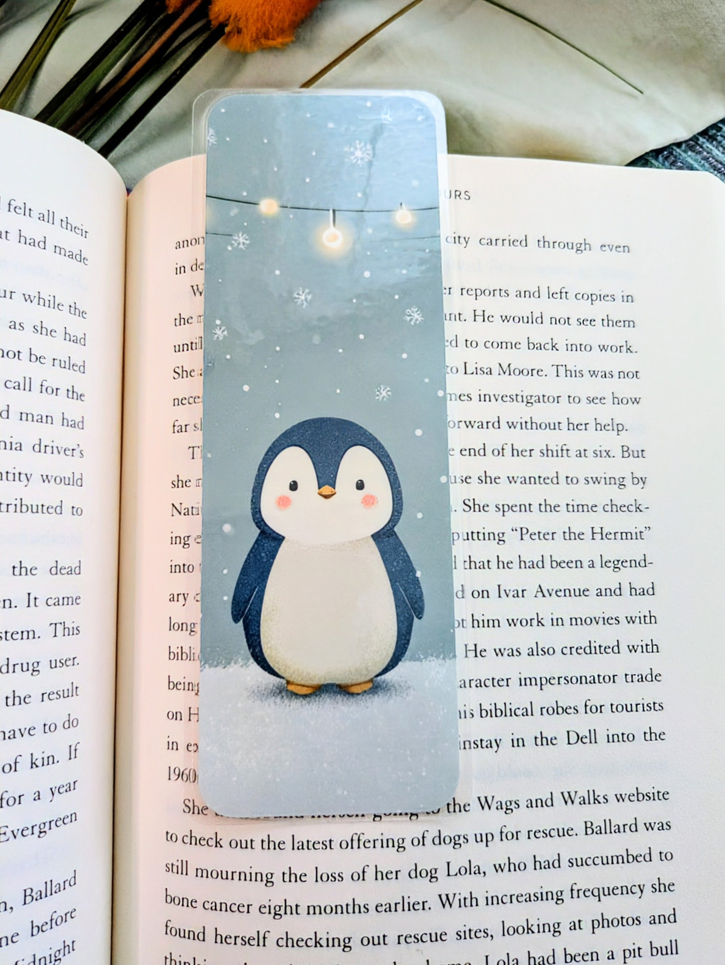 "Snowy Days & Penguin Plays"