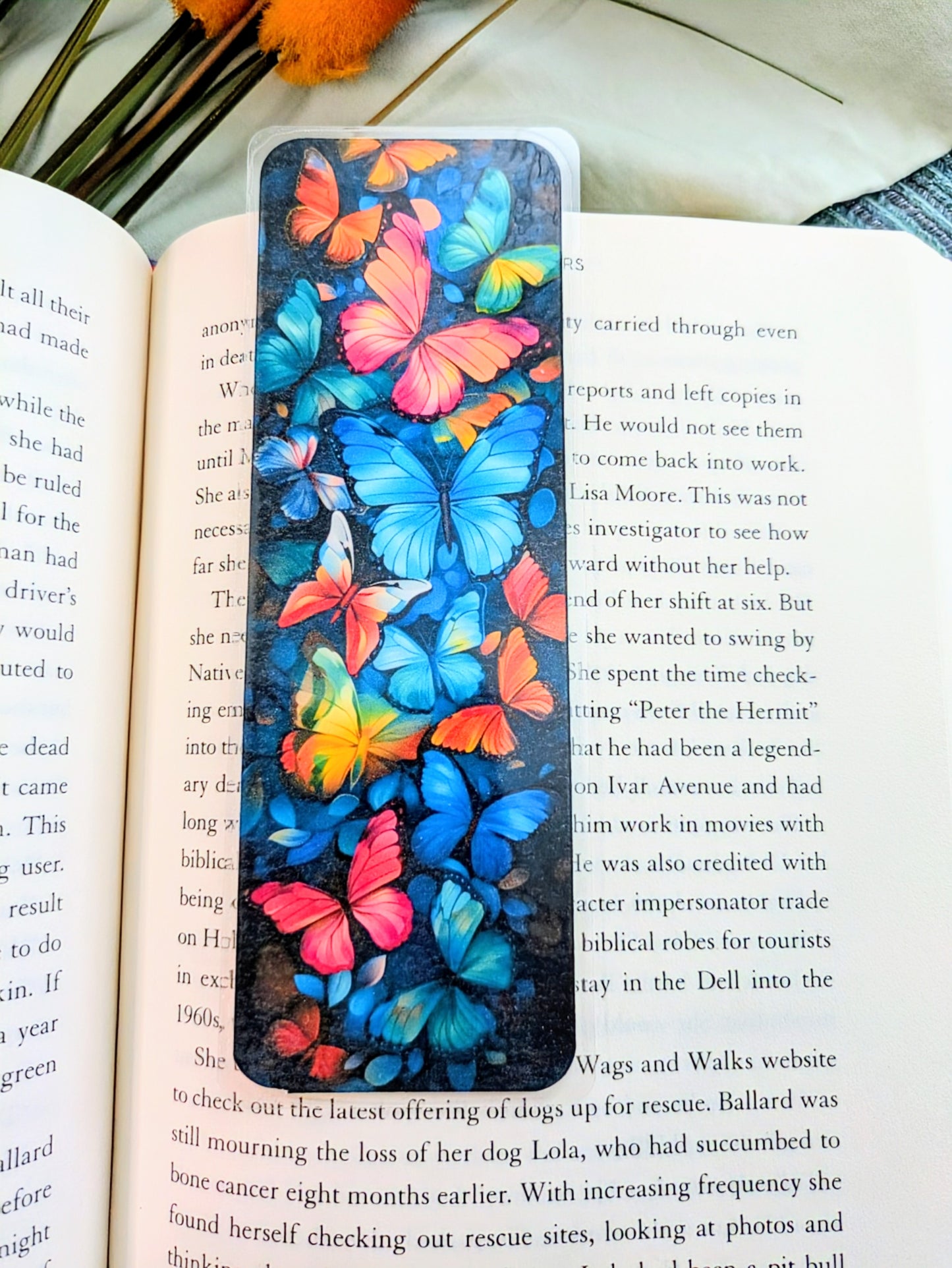 "A Little Magic in Every Wing"